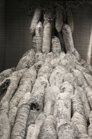 Galerie - Ausstellungen / Exhibitions