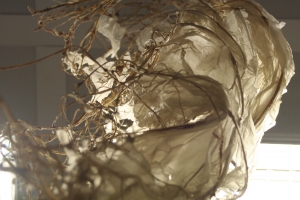 Galerie - Ausstellungen / Exhibitions