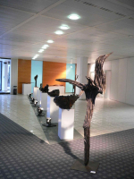 Galerie - Ausstellungen / Exhibitions
