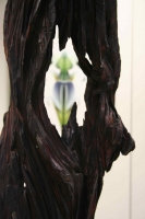 Galerie - Ausstellungen / Exhibitions