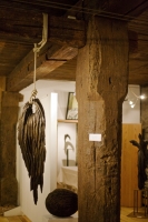 Galerie - Ausstellungen / Exhibitions