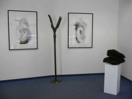 Galerie - Ausstellungen / Exhibitions