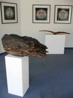 Galerie - Ausstellungen / Exhibitions