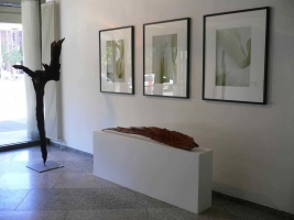 Galerie - Ausstellungen / Exhibitions