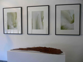 Galerie - Ausstellungen / Exhibitions