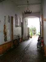 Galerie - Ausstellungen / Exhibitions