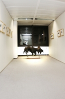 Galerie - Ausstellungen / Exhibitions