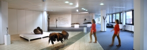 Galerie - Ausstellungen / Exhibitions