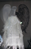Galerie - Ausstellungen / Exhibitions