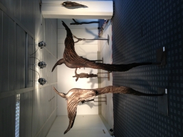 Galerie - Ausstellungen / Exhibitions