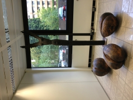 Galerie - Ausstellungen / Exhibitions