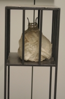 Galerie - Ausstellungen / Exhibitions